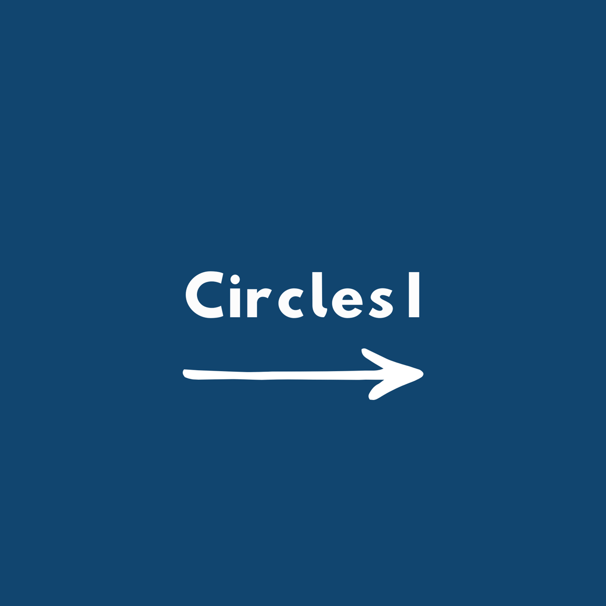 Graphic Organizer